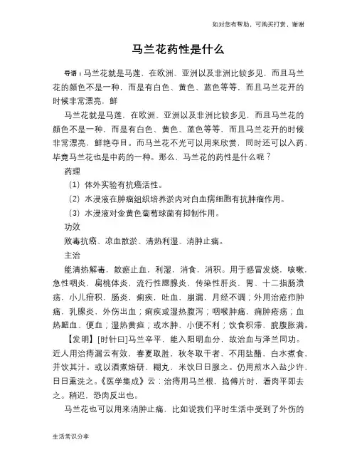 马兰花药性是什么