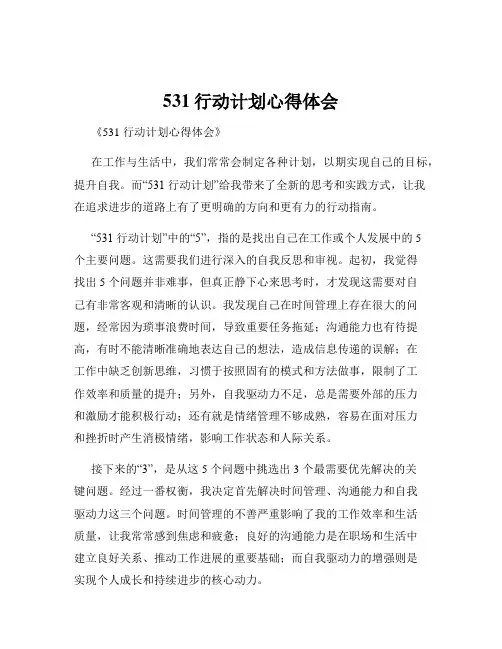 531行动计划心得体会