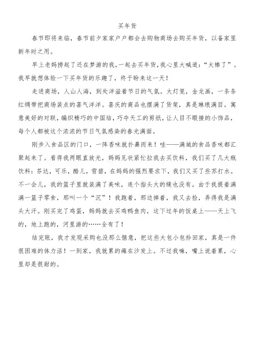 小学生优秀作文《买年货》寒假日记范文