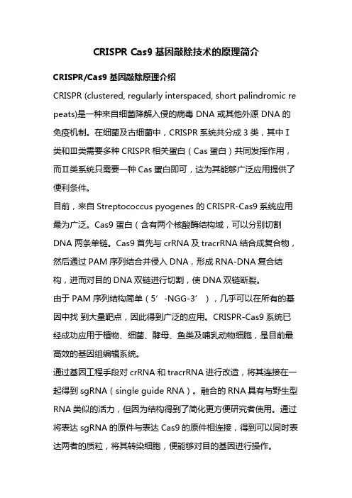 CRISPR Cas9基因敲除技术的原理简介