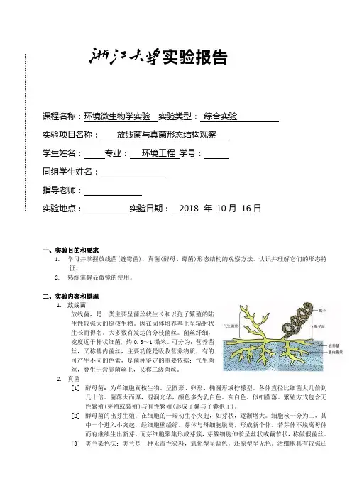 实验五 放线菌与真菌形态结构观察