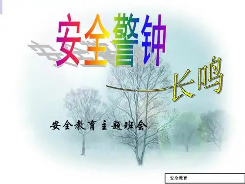 安全教育主题班会ppt(共28张PPT)