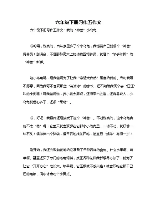 六年级下册习作五作文