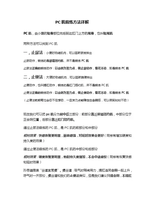 PC肌发力点详解~PC肌与提肛的区别