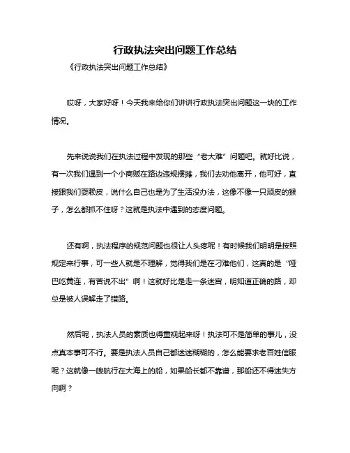行政执法突出问题工作总结