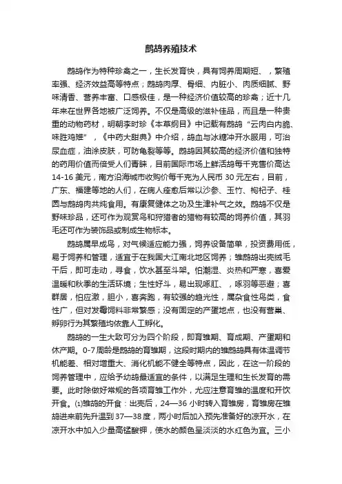 鹧鸪养殖技术