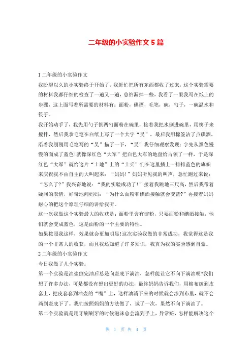 二年级的小实验作文5篇