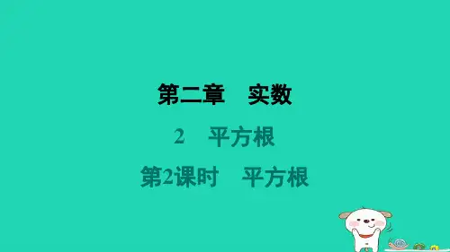 2024八年级数学上册第二章实数2平方根第2课时平方根习题课件新版北师大版