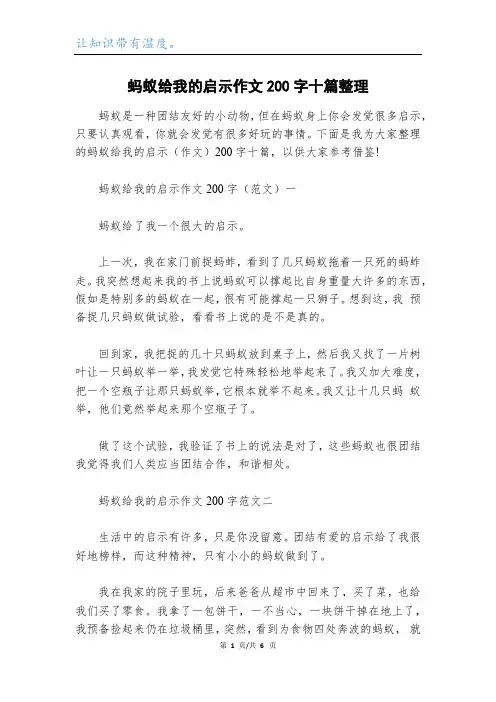 蚂蚁给我的启示作文200字十篇整理