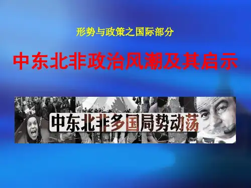 西亚北非政局动荡现状