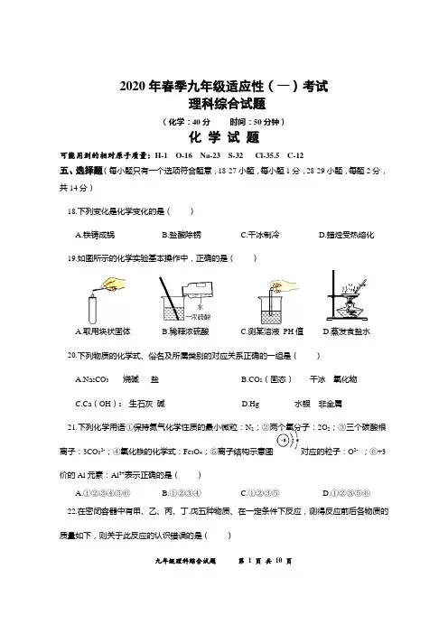 2020年九年级中考适应性考试化学试题(附答案) (1)
