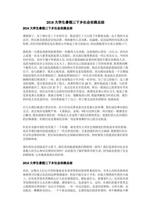 2016大学生暑假三下乡社会实践总结