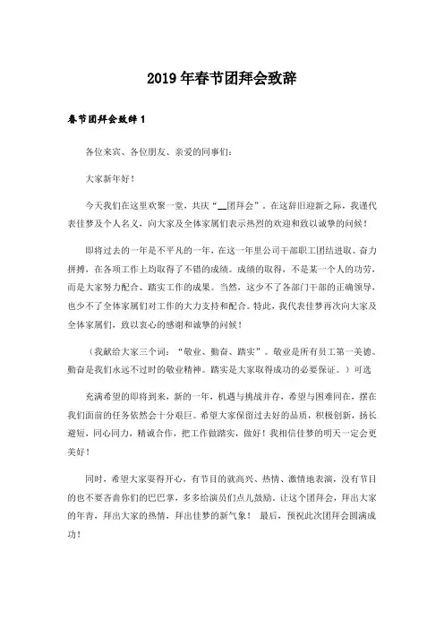 2019年春节团拜会致辞