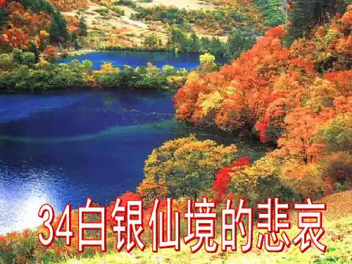 白银仙境的悲哀解析