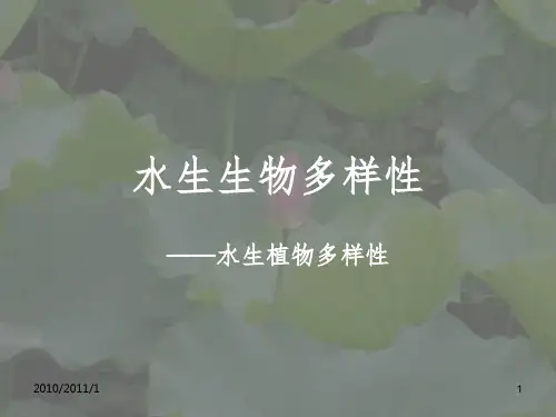 水生植物多样性PPT课件