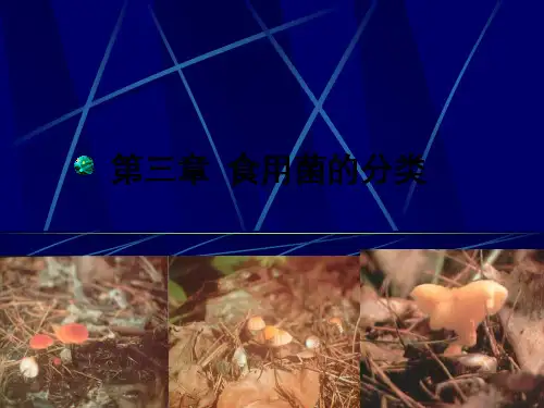 第三章食用菌分类