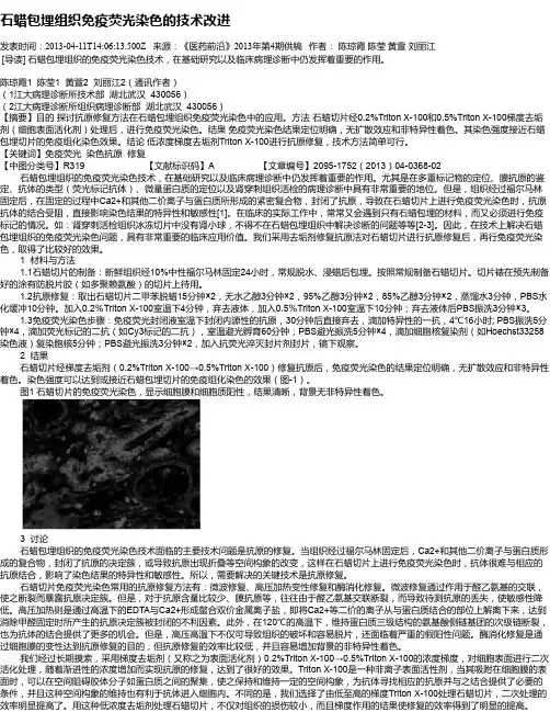 石蜡包埋组织免疫荧光染色的技术改进