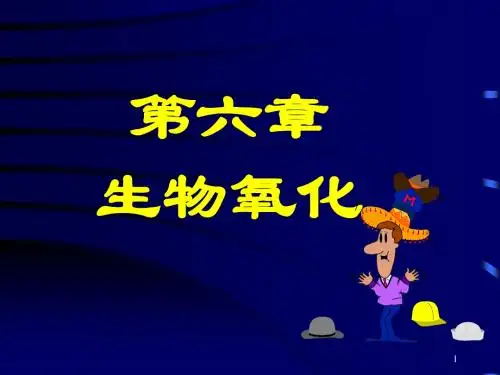 第6章 生物氧化