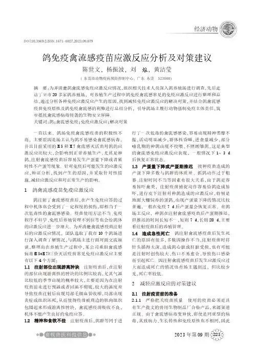 鸽免疫禽流感疫苗应激反应分析及对策建议