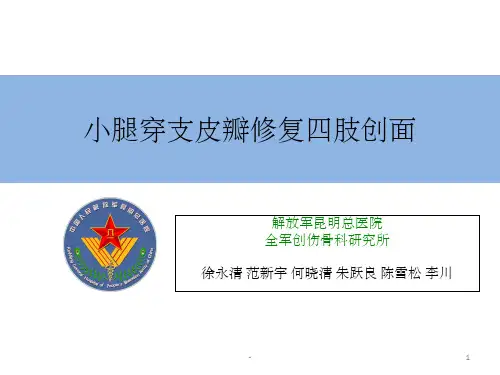 小腿穿支皮瓣的临床应用(新高压缩版) ppt