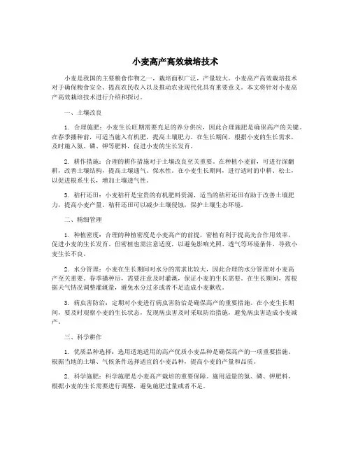 小麦高产高效栽培技术