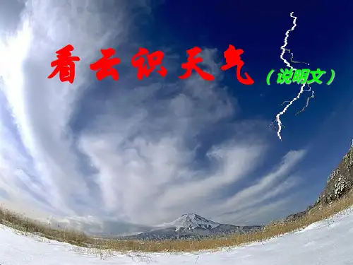 七年级语文上册 看云识天气课件 人教新课标版