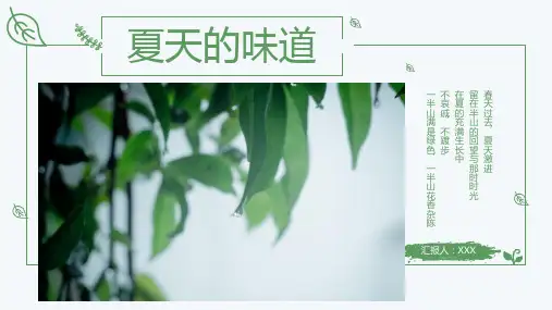 夏天小清新工作汇报PPT模板