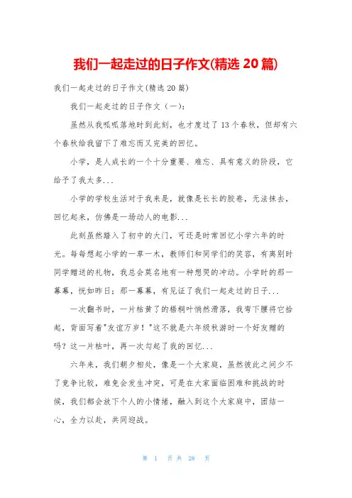 我们一起走过的日子作文(精选20篇)