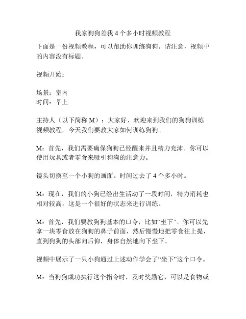 我家狗狗差我4个多小时视频教程