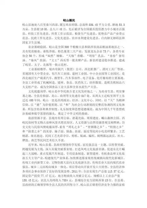 岐山概括
