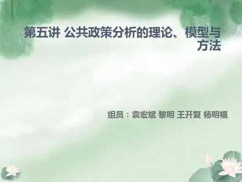 公共政策分析