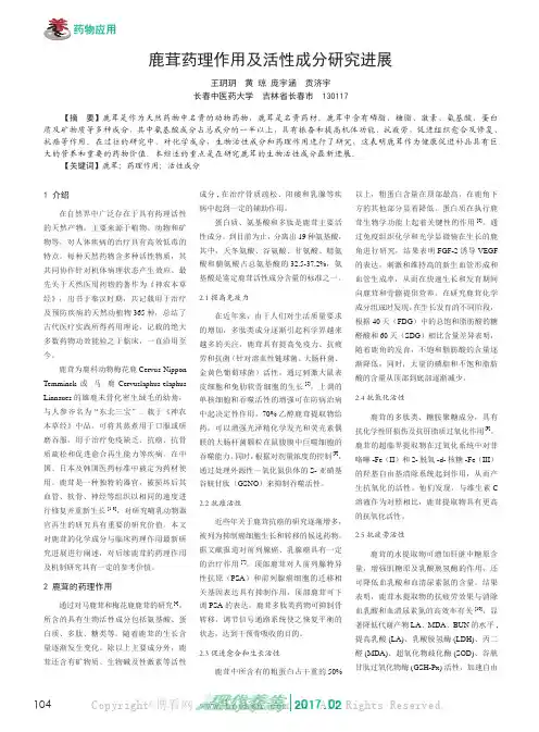 鹿茸药理作用及活性成分研究进展