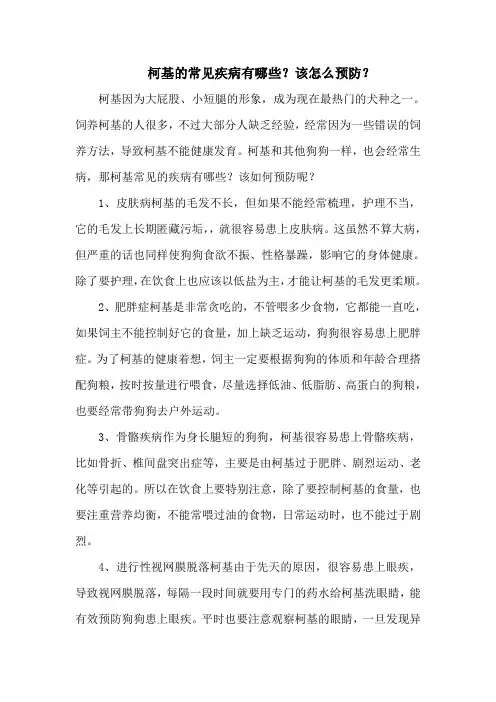 柯基的常见疾病有哪些？该怎么预防？