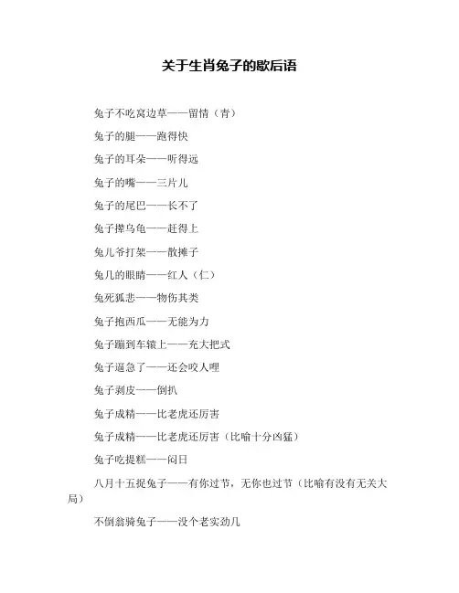 关于生肖兔子的歇后语