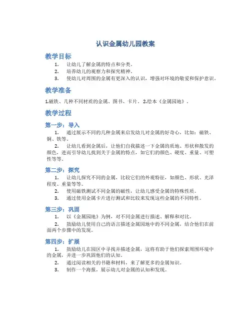 认识金属幼儿园教案
