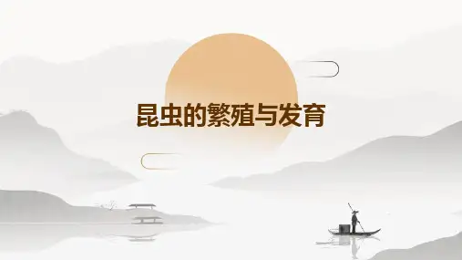 昆虫的繁殖与发育