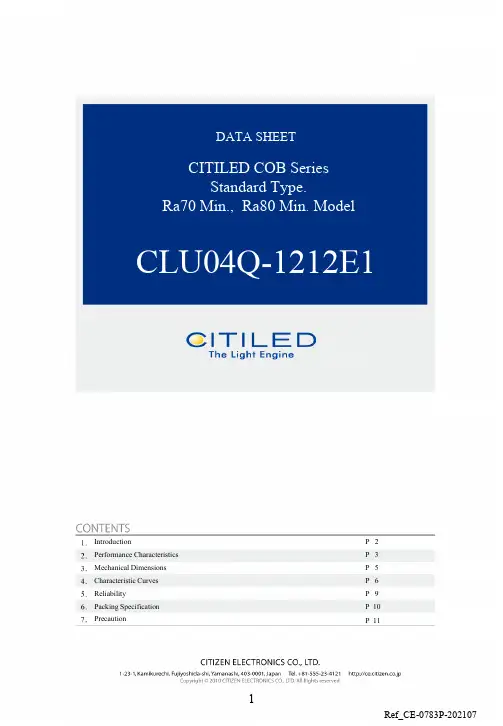 Citiled COB系列LED灯光产品说明书