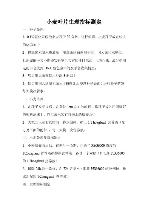 小麦叶片生理指标测定