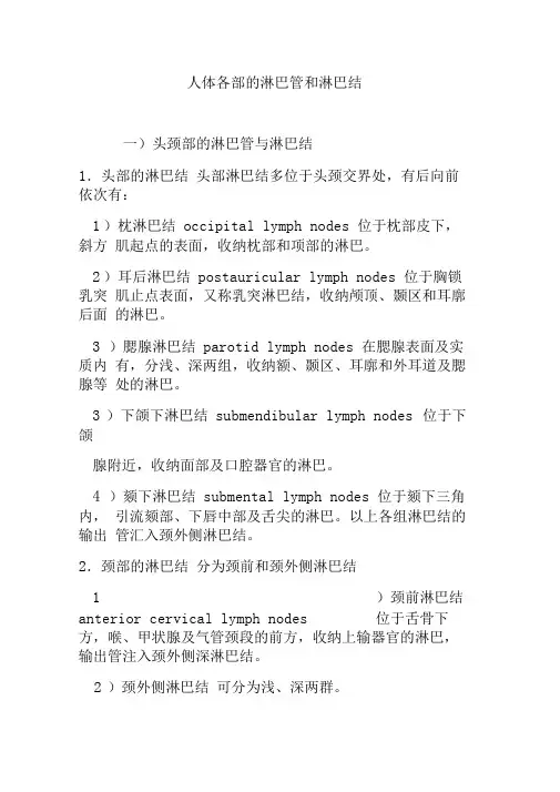 人体各部的淋巴管和淋巴结