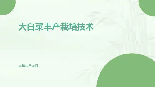 大白菜丰产栽培技术
