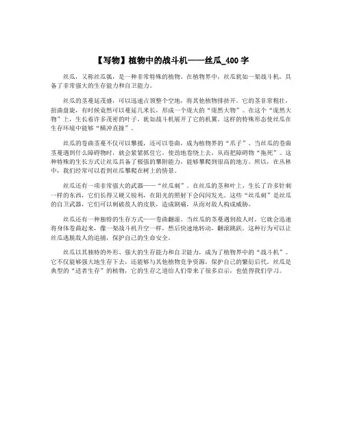 【写物】植物中的战斗机——丝瓜_400字