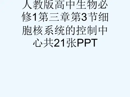 人教版高中生物必修1第三章第3节细胞核系统的控制中心共21张PPT[可修改版ppt]