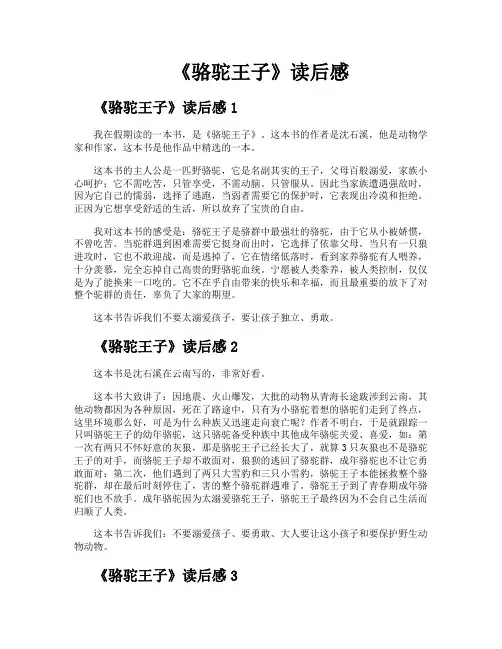 《骆驼王子》读后感