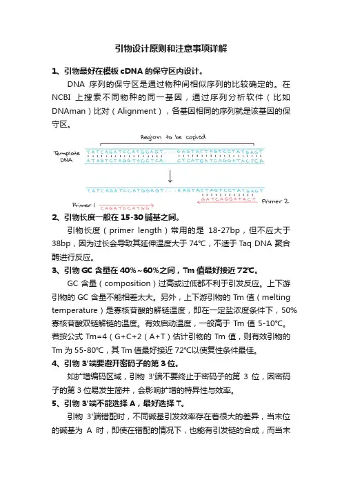 引物设计原则和注意事项详解