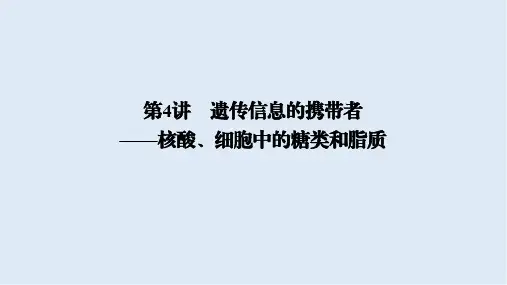 2019高考生物大一轮复习课件：必修1 第1单元 细胞及其分子组成 第4讲 
