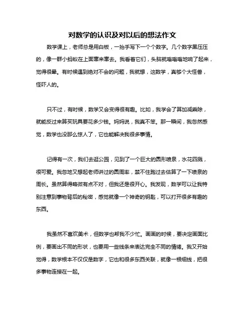 对数学的认识及对以后的想法作文