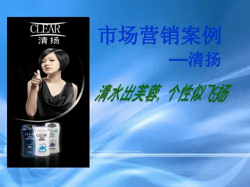清扬市场营销案例分析