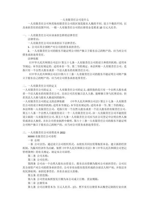 一人有限责任公司是什么