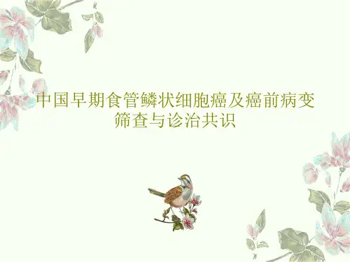 中国早期食管鳞状细胞癌及癌前病变筛查与诊治共识33页PPT