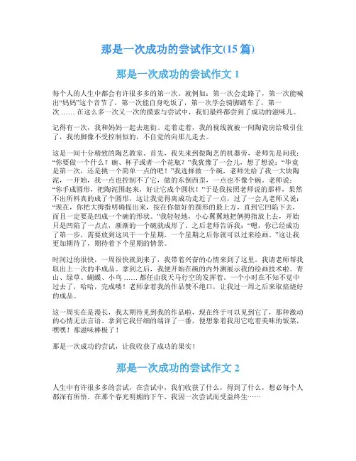 那是一次成功的尝试作文(15篇)